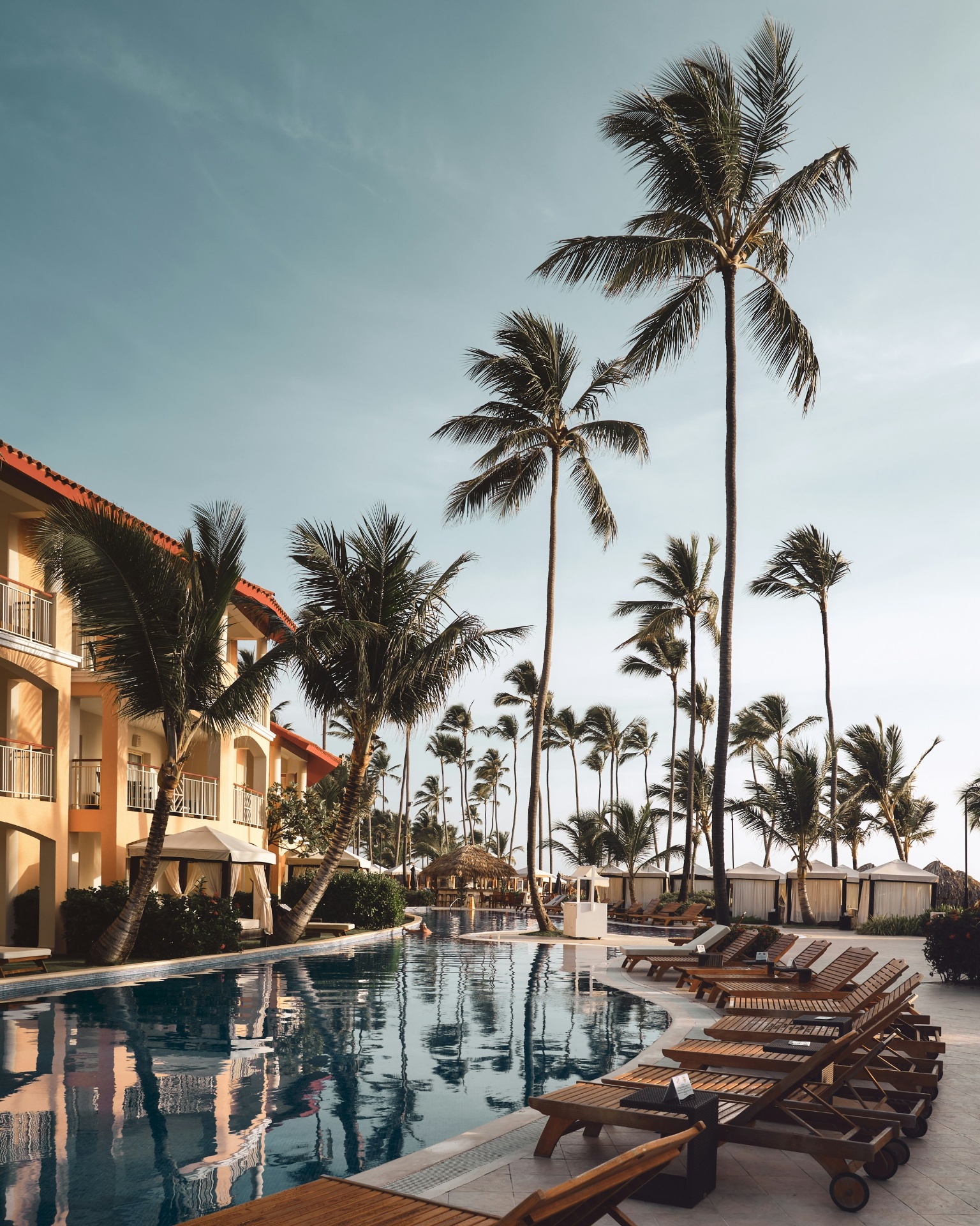 Sun-drenched palm-lined resort pool at golden hour